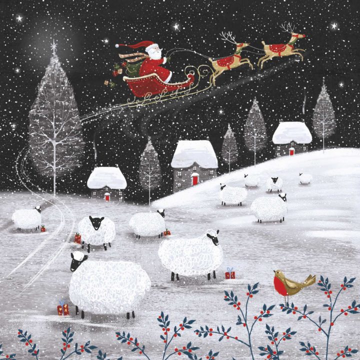 4. While We Are Sleeping & Flying Over The Fields Christmas Cards (Pack of 10) - Image 2