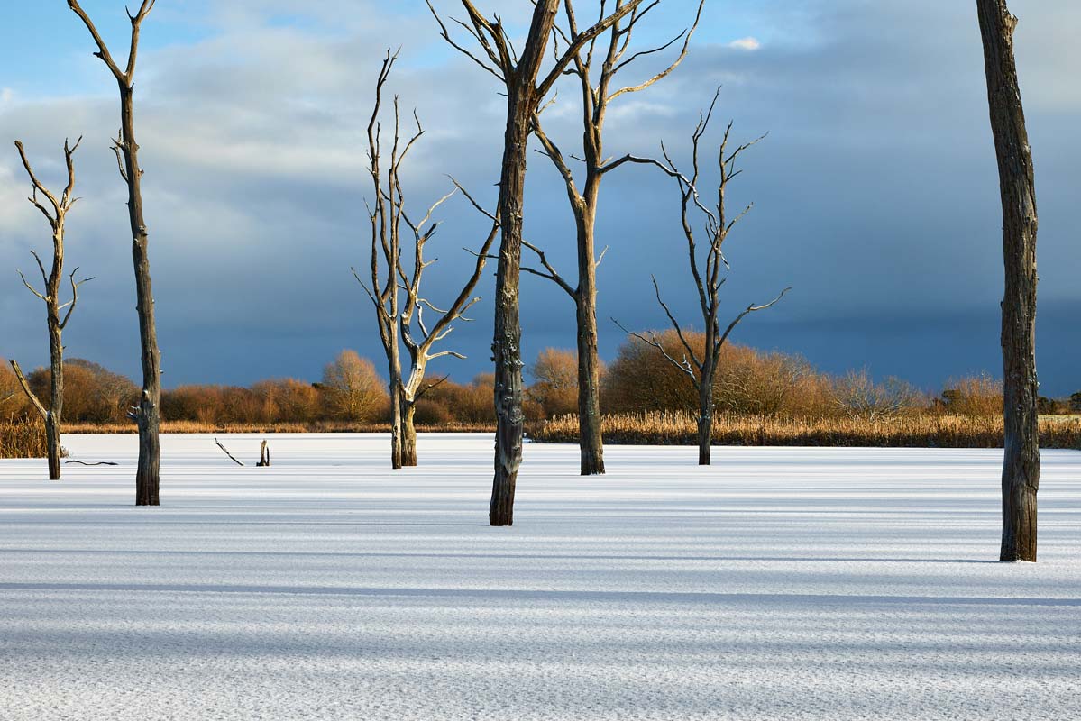 Arcot Hall Grasslands and Ponds, Northumberland © Alan Clark